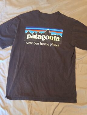 Patagonia Black Graphic Tee with Blue and Red Mountain Stripe